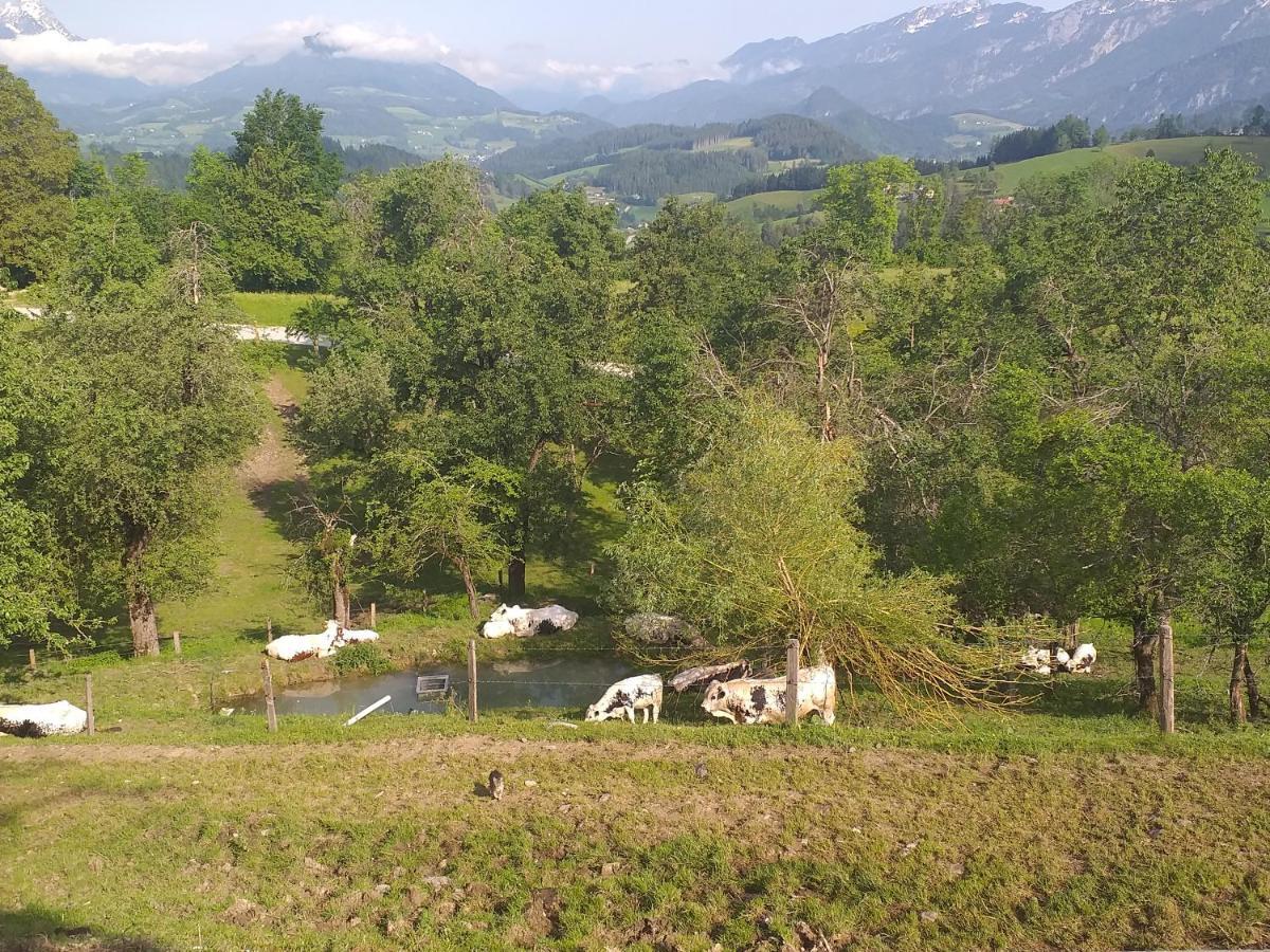 Landhotel Oberwengerhof 스피탈 암 피른 외부 사진